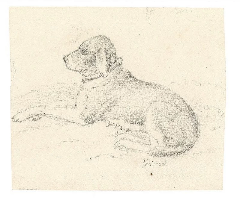 Carl Philipp Fohr - Studio di cane